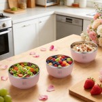 Segarty 304 Stainless Steel Bowl 400ml 13.5oz with PP Outer Layer - Double Wall Thermal Bowl for Kids, Soup, Cereal, Rice, Salad - BPA Free, Dishwasher Safe, Lightweight & Unbreakable