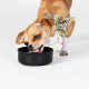Segarty Pet Bow Ties, 30 Pack Adjustable Bowties Collar for Medium Large Dogs, Dog Bowknot Neckties Costumes Grooming Accessories for Daily Wearing Birthday Holiday Festival Party Gifts Segarty Pet Bow Ties, 30 Pack Adjustable Bowties Collar for Medium Large Dogs, Dog Bowknot Neckties Costumes Grooming Accessories for Daily Wearing Birthday Holiday Festival Party Gifts