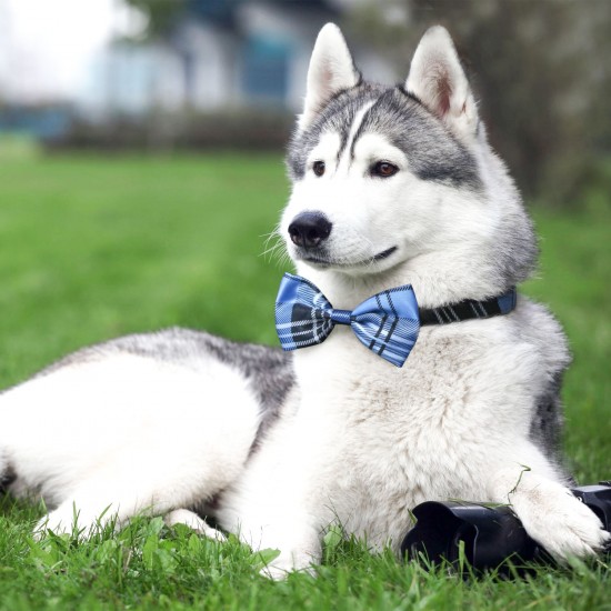 Dog Bow Ties, 40 PCS Segarty Pet Neck Bows, Bulk Pet Bowties with Adjustable Collar, Grooming Bowknot for Christmas Birthday Holiday Valentine Party Dog Photography Accessories Gift for Puppy Dogs Cat… Dog Bow Ties, 40 PCS Segarty Pet Neck Bows, Bulk Pet Bowties with Adjustable Collar, Grooming Bowknot for Christmas Birthday Holiday Valentine Party Dog Photography Accessories Gift for Puppy Dogs Cat…