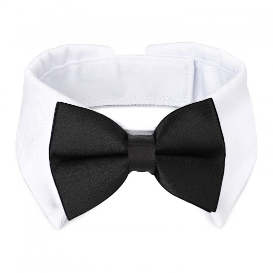 black bow tie cat collar