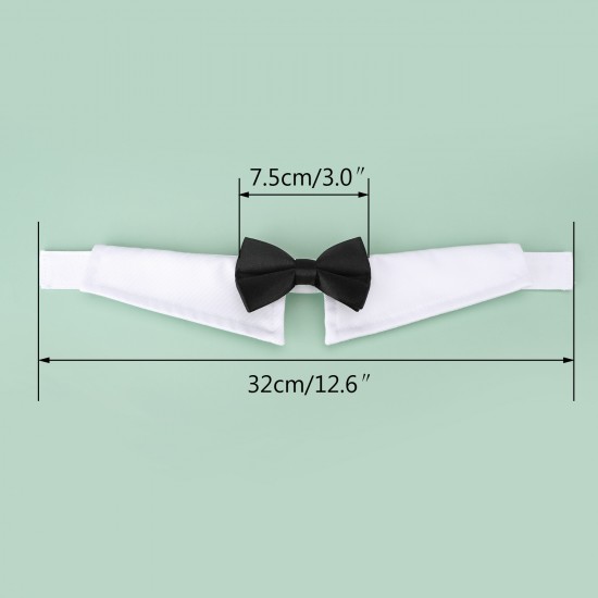 black bow tie cat collar