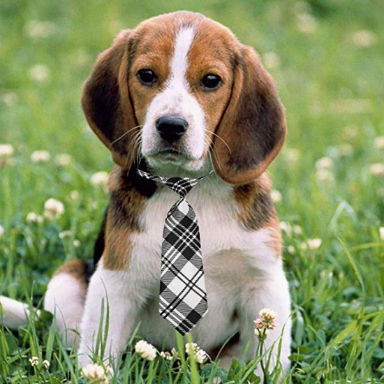 Dog Neckties, 10PCS Segarty Baby Toddlers Ties Medium Dog Bow Ties Collar, Adjustable Pet Cat Dog Neckties for Holiday Festival Dog Collar Dog Grooming Accessories Dog Neckties, 10PCS Segarty Baby Toddlers Ties Medium Dog Bow Ties Collar, Adjustable Pet Cat Dog Neckties for Holiday Festival Dog Collar Dog Grooming Accessories