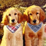  Segarty Dog Bandanas, 4PCS Triangle Bibs Reversible Plaid Printing Dog Kerchief Set, Scarfs Accessories for Small to Large Dogs Cats Pets 